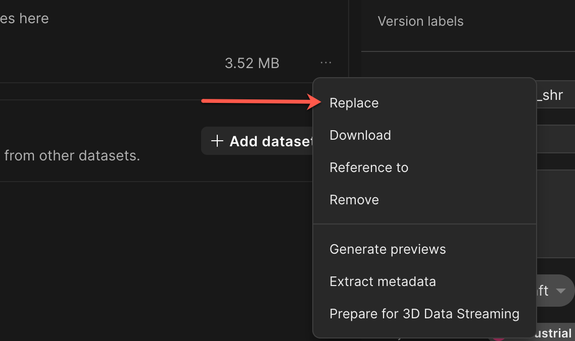 The context menu now shows the Replace option for the selected file.