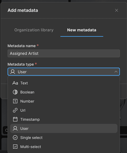 Choose metadata type