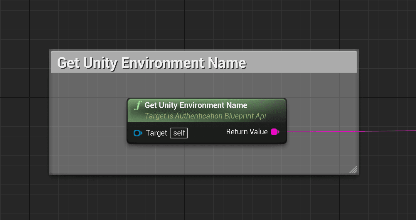 Get Unity Environment Name