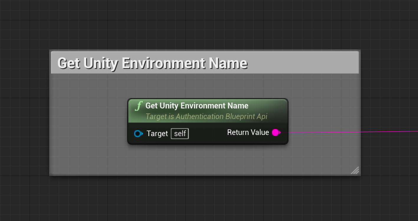 Get Unity Environment Name