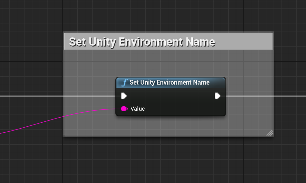 Set Unity Environment Name